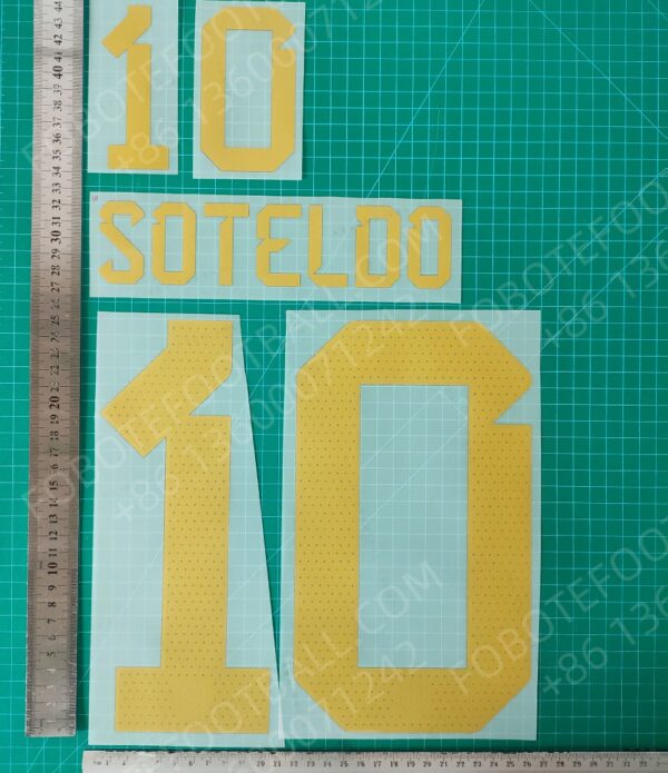 Venezuela 2024 Home Nameset for Football Shirt Any Name & Number