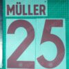 Bayern 2024-25 2nd Away Nameset for Football Shirt Any Name & Number - Image 7