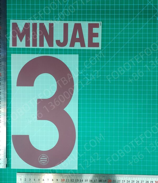 Bayern 2024-25 2nd Away Nameset for Football Shirt Any Name & Number - Image 2
