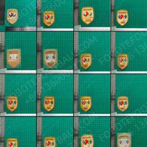 Mexican League Patches Collection